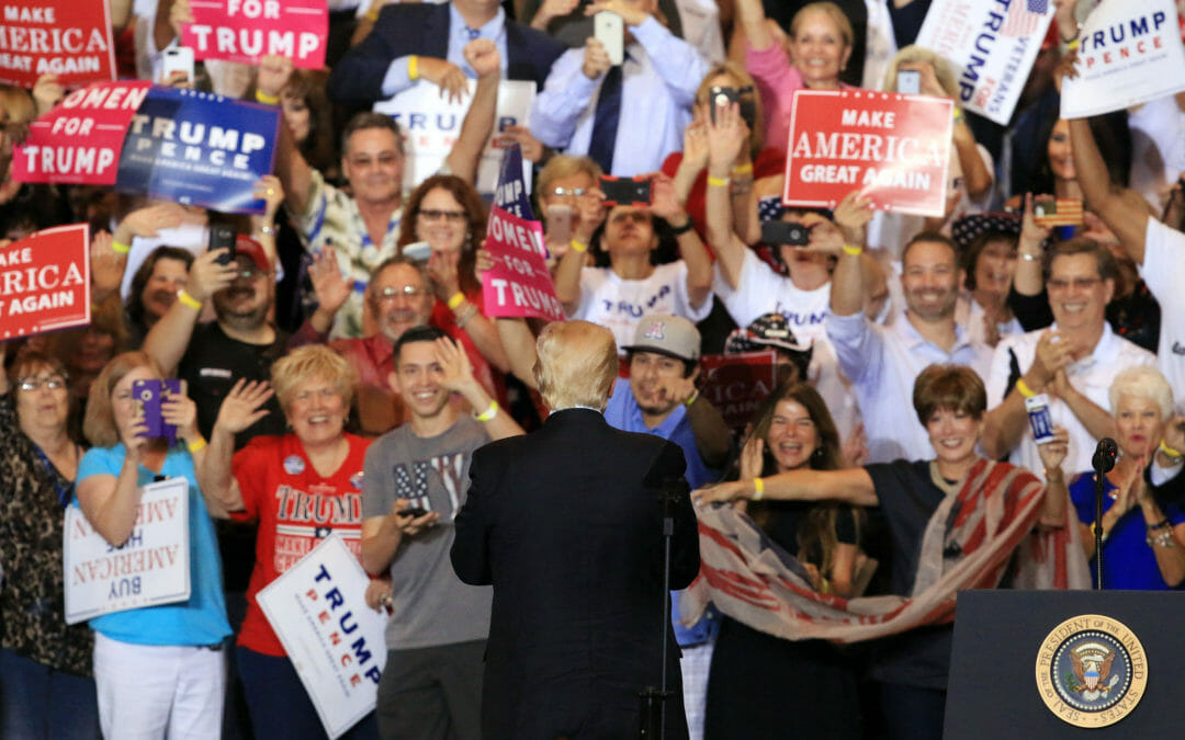 Snakes under the carpet