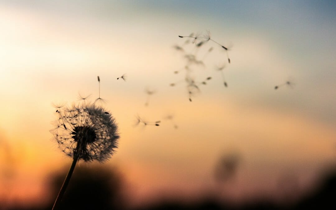 Readers Write: Scattered