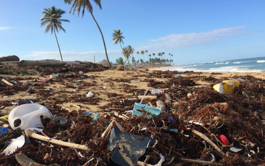 This Earth Day, remembering the fragile balance between us and our home