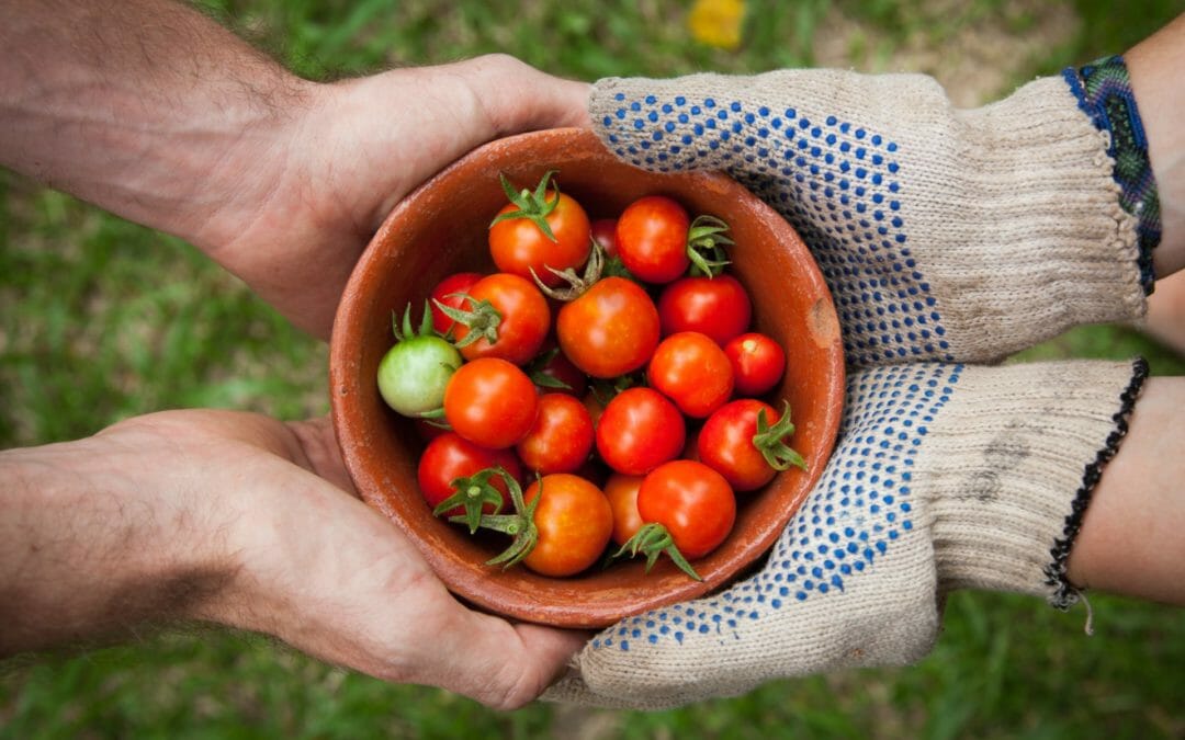 Agrarianism for the rest of us