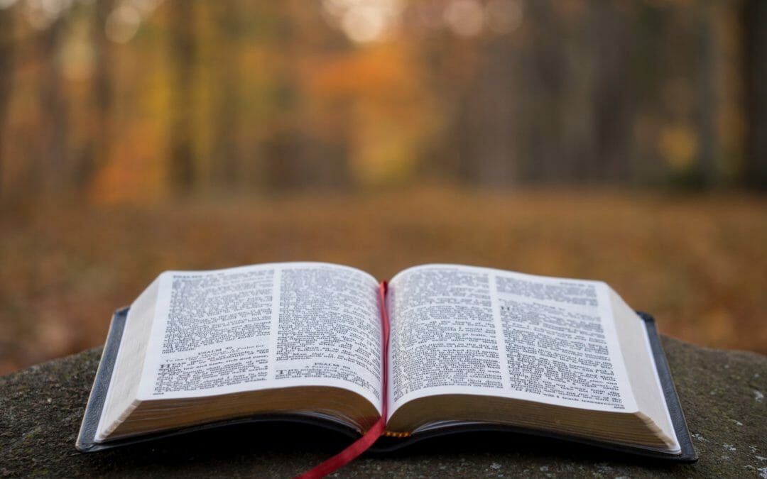 The Peter and Paul preaching traditions