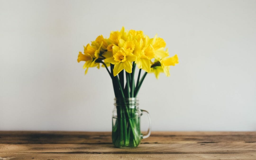 Do something nice for yourself every day